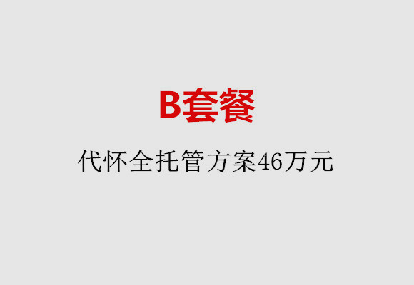 保定B套餐：代怀全托管方案46万元